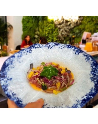 P605032B PLATO RISOTTO...