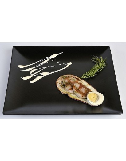 B2771 PLATO LLANO MINGII...