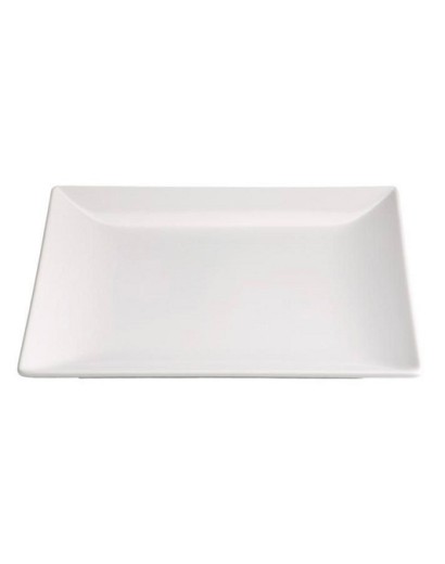 B2766 PLATO LLANO MINGII...